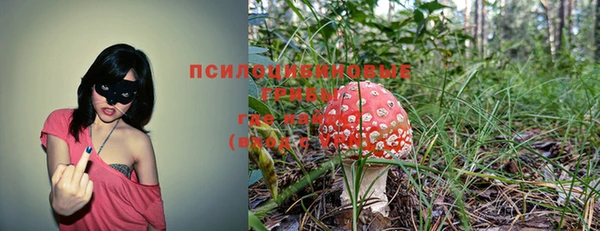 таблы Бронницы