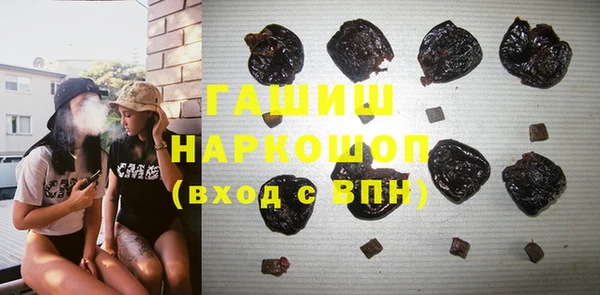 mix Бородино