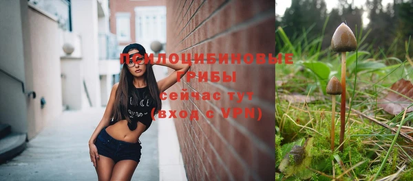 таблы Бронницы